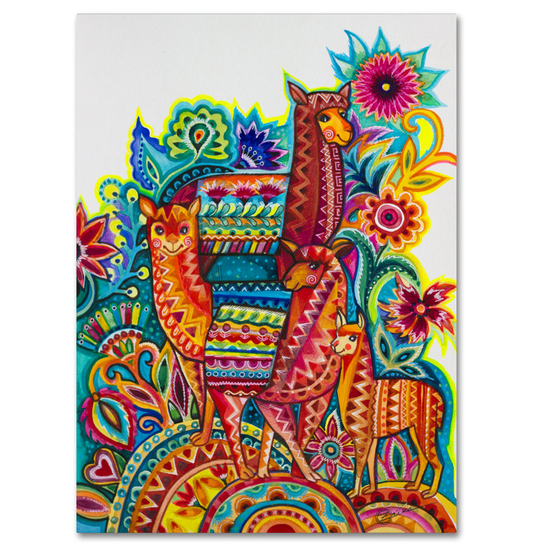 « alpaca from mexico », reproduction d’impression sur toile tendue, H 32 po x l 24 po