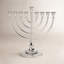 Roseland Menorah-2106433019