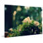 Nonsense 1 Piece Wrapped Canvas Wall Art-877500633