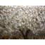 Peinture sur toile tendue