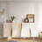 Modern Minimalist Lacquered Shoe Cabinet 18 Pair Shoe Storage Cabinet
