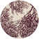 Wimborne Hand Tufted Wool Abstract Rug