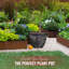 Pot Planter-2075768397