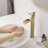 Single-handle Bathroom Faucet-40723106-86898837