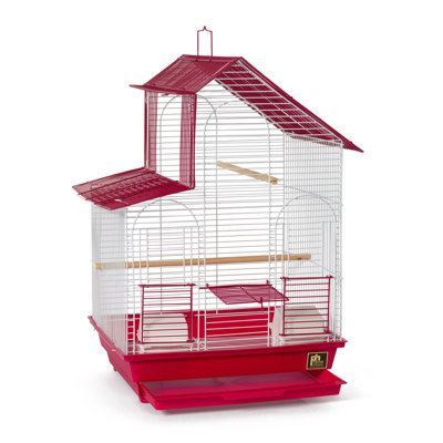 Cage à oiseaux avec perchoir 24 po