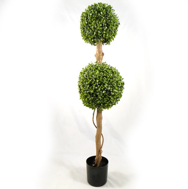 90cm Boxwood Tree