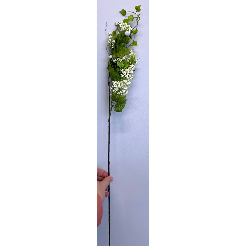 Tiges de plantes à graines, Blanc