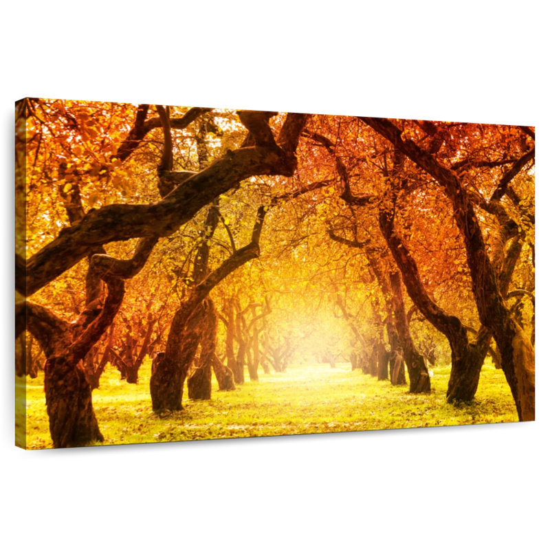 Alvord Autumn Forest Trail, 16" H x 24" W