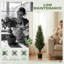 Plant-1687928900