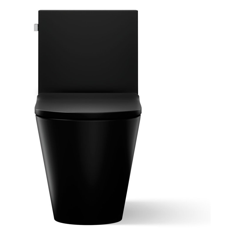 Brazn 1.28 GPF Water Efficient Round One-Piece toilet (Seat Included), Honed Black