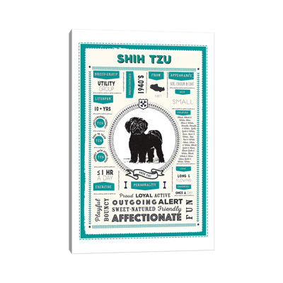 " Shih Tzu Infographic Blue " Graphic Art Print