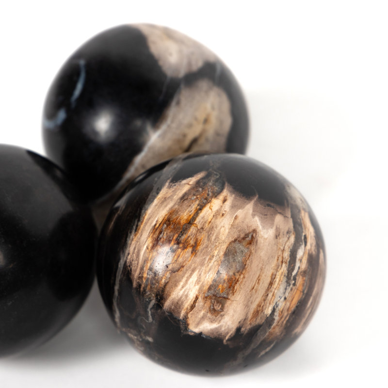 Petrified 3 Piece Deco Wood Sculpture Set