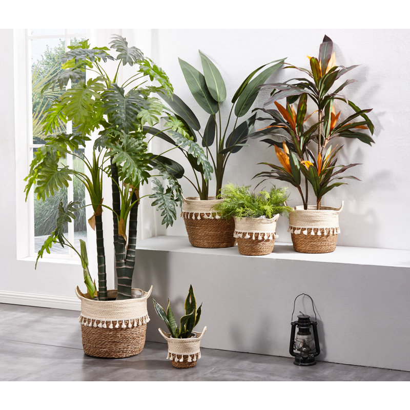 Ensemble de 5 paniers en osier 5 pièces