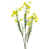 Yellow selected