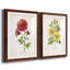 Botanical III - ensemble de 2 reproductions d'art-168997587-168997419-168997597