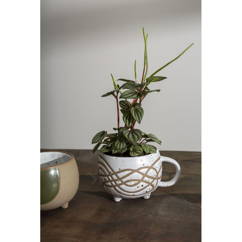 Tasse à lait Jehilyn