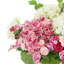 Hydrangeas and Ranunculus Arranged in Ceramic Pot