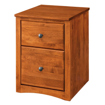 Malani 17.5'' Wide 2 -Drawer Mobile Solid Wood File Cabinet
