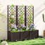 Raised Garden Bed-585640719