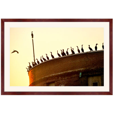 Last Call Framed Photographic Print by Ted Glasoe