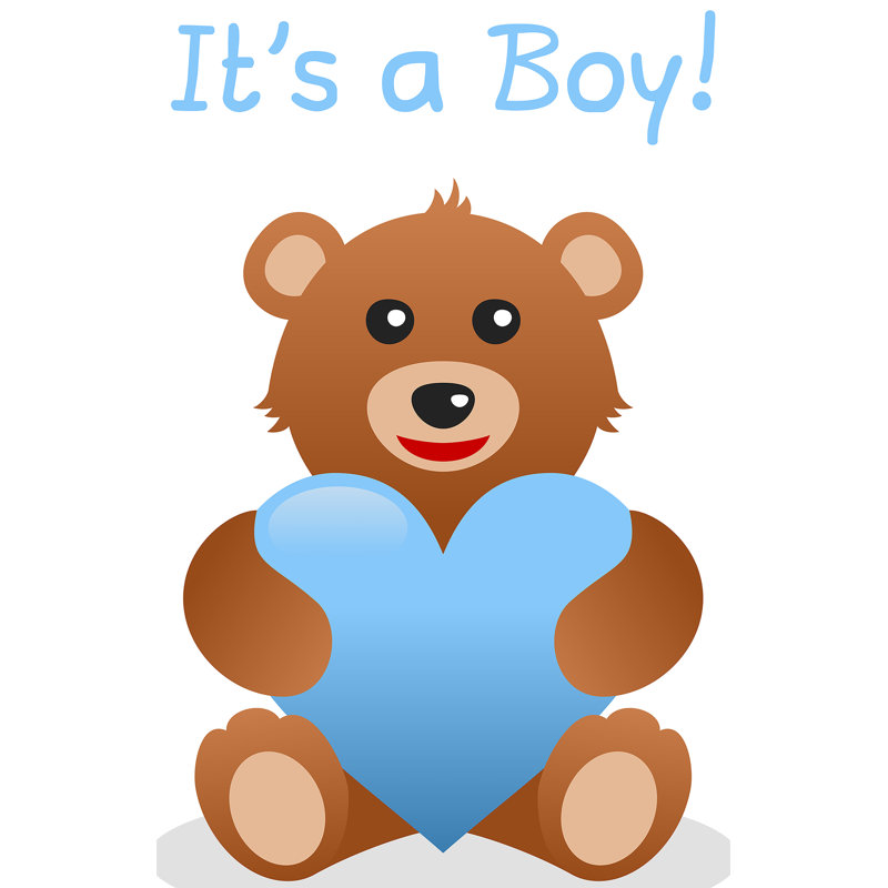 Accroche en carton teddy ours the garçon