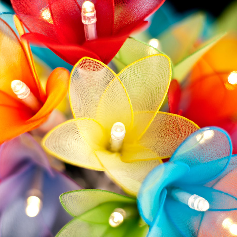 Cal LED Sheer Daisy String Light, 20 Lamps - 5 Metre Long