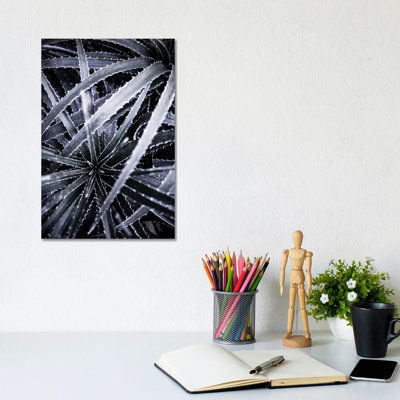 Cactus III by Mareike Böhmer - 1 Piece Wrapped Canvas Wall Art