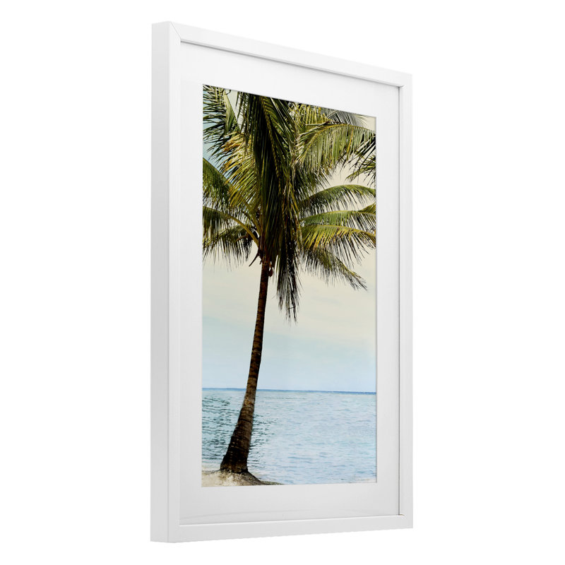«Honduras Coast Palm Tree», reproduction encadrée sous verre, conception de Natalie Carpentieri, H 23 po x l 17 po
