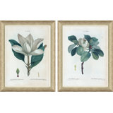 Magnolias Giclee Print by Paul Cezanne