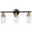 Sherron Matte Black Modern Bathroom Vanity Light with Clear Glass Shade and Gold Socket