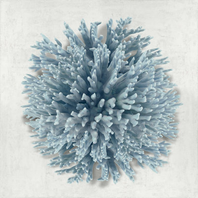Vannote - bleu corail I