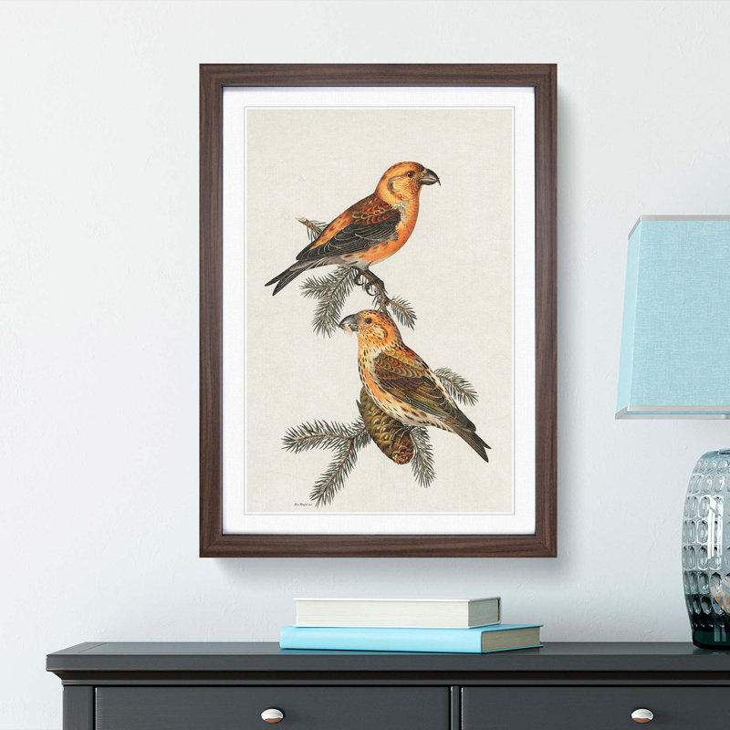 Red Crossbill Birds by Von Wright - Picture Frame Painting Print, 65cm H x 48cm W x 2cm D, Walnut Framed