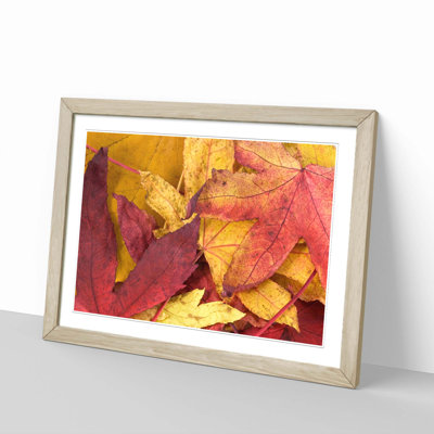 Single Picture Frame Print