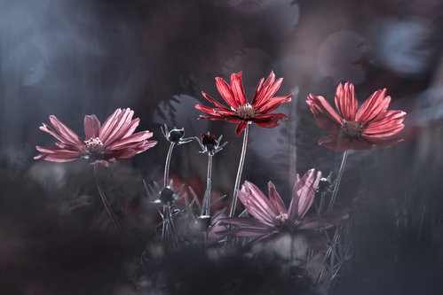 Wrapped Canvas Print, 60.96 cm H x 91.44 cm W