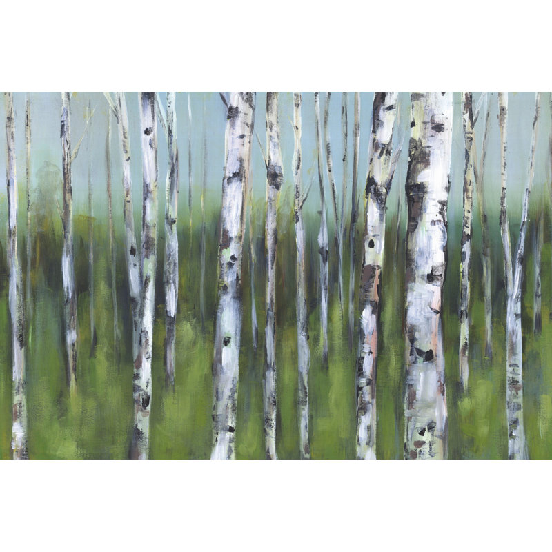 Rows And Rows Of Birches - Wrapped Canvas Art Prints, 61cm H x 91cm W x 3.8cm D