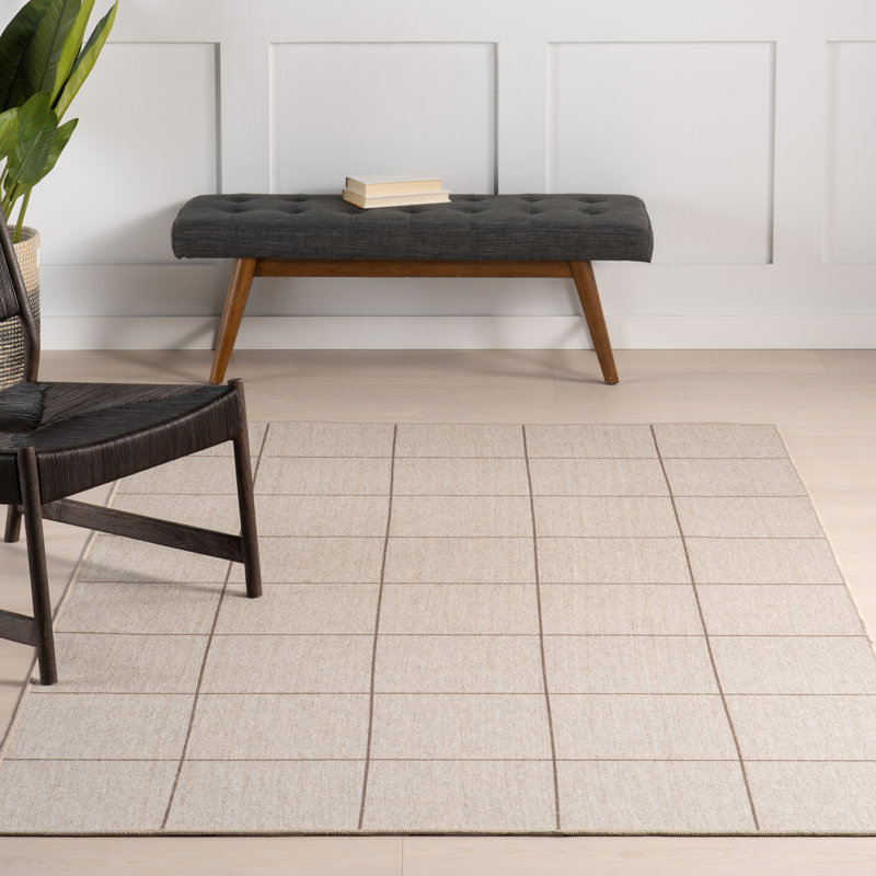 Calandra Checkered Machine Washable Area Rug, Rectangle 4' x 6'4"