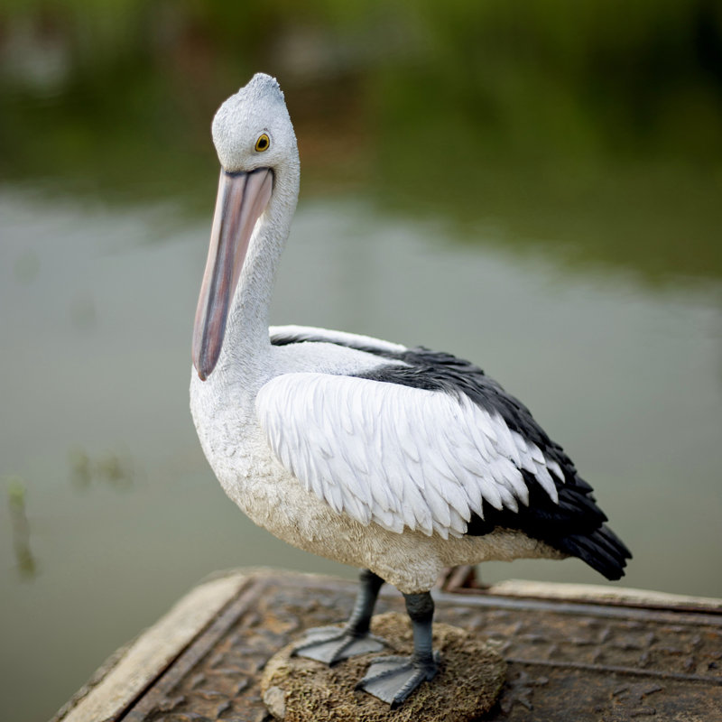 White pelican | Handcrafted Decorative Bird Statue for Home & Garden | Premium Polyresin, Weather-Resistant Indoor/Outdoor Decor