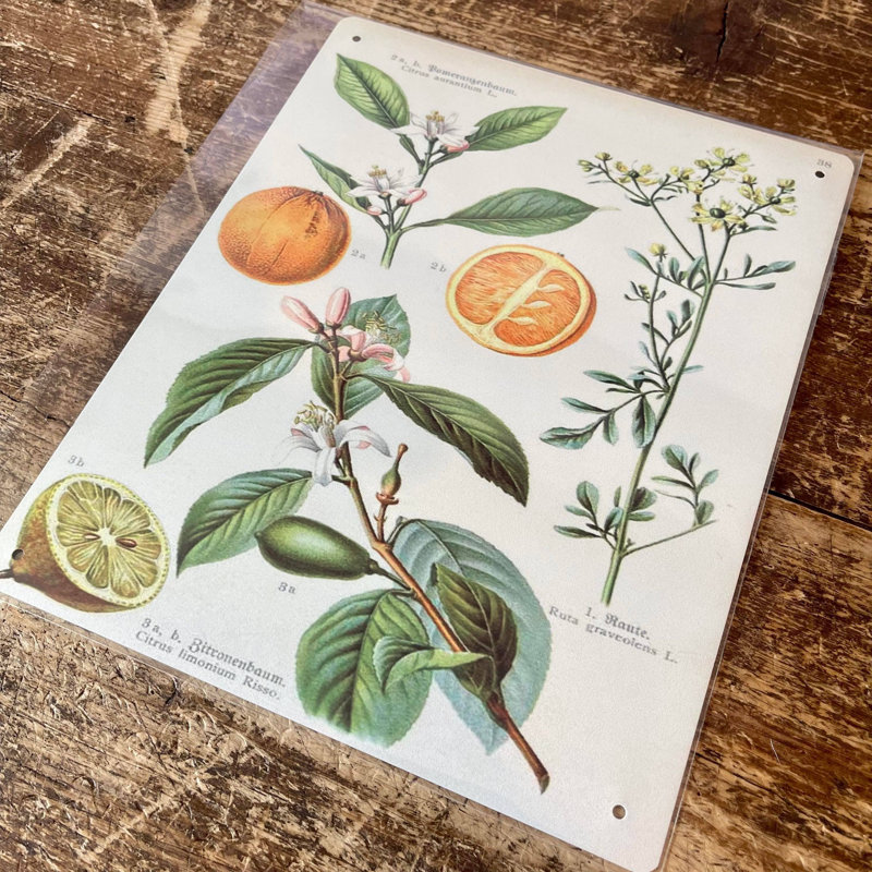 Handmade Food & Beverage Wall Decor on Metal, 20cm H x 15cm W