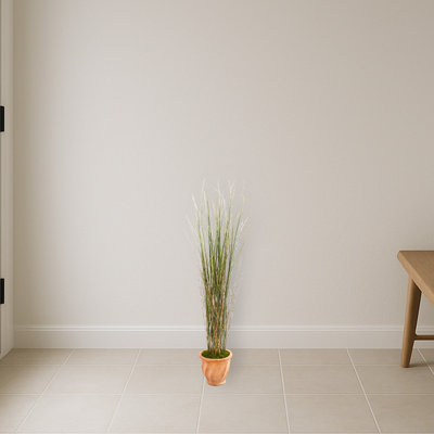 Grass and Bamboo Plant in Terra-Cotta Planter