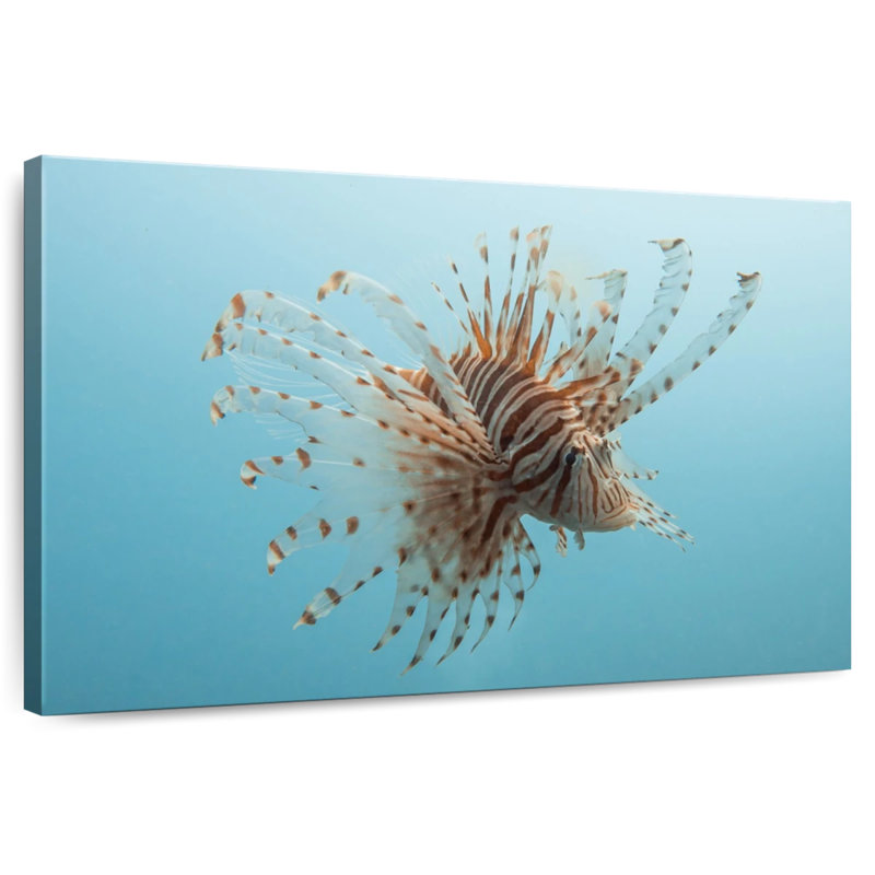 Brampt Underwater Lionfish Figure, 34" H x 51" W
