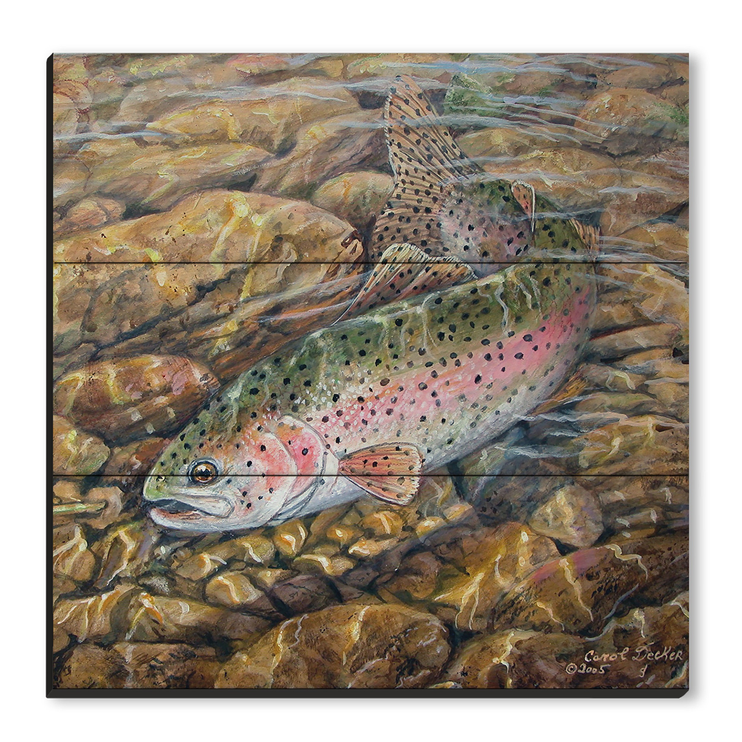 Rainbow Trout Painting Print on Wood