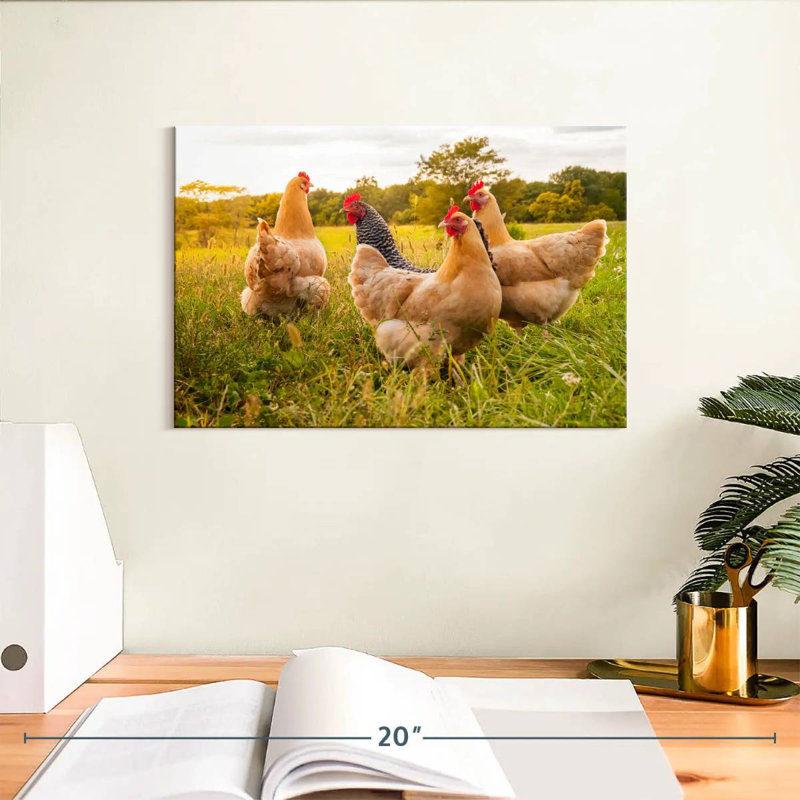 Brampt Chickens Looking For Food, 8" H x 12" W
