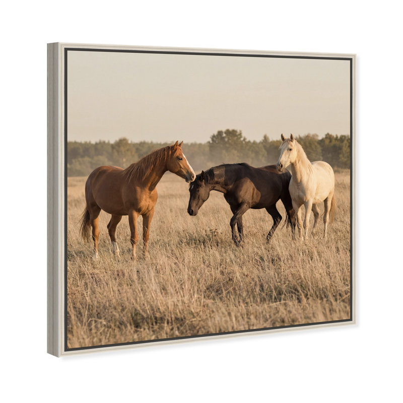 Peaceful Freedom Print by Oliver Gal, 17" H x 17" W, Silver Floater Frame