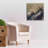 'Earth as Art: Irritated,' Canvas Wall Art-1969399240
