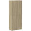 Storage Cabinet-1622365942