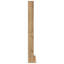 Display Cabinet-40428675