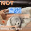 Lit pour chien ovale en mousse à mémoire de forme Tucker Murphy Pet ™, avec doublure imperméable et housse lavable amovible-95781285-95781336