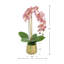 Pink Orchid Arranged in Gold Fiberstone Pot