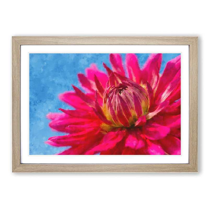 The Pink Flower - Picture Frame Graphic Art, 27cm H x 36cm W x 2cm D, Oak Framed