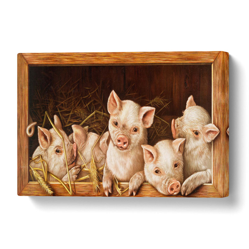 Prize Pigs - Wrapped Canvas Painting, 40.6 cm H x 61 cm W